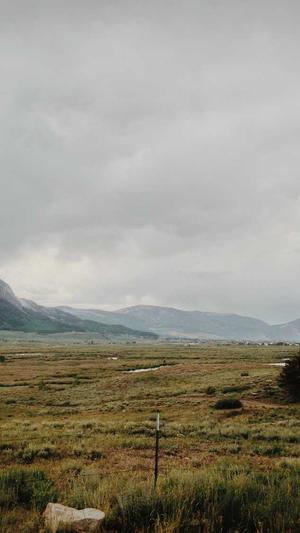 so导航黑料不打烊截图1