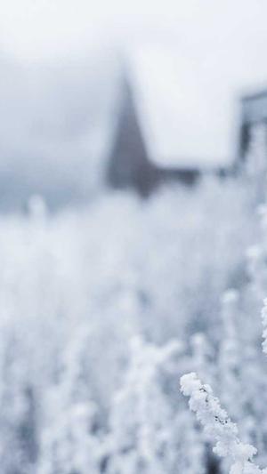 51吃瓜网最新截图5