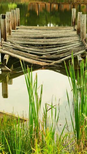 黑料不打烊万篇长征截图5