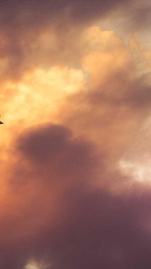 黑料不打烊最新事件截图5