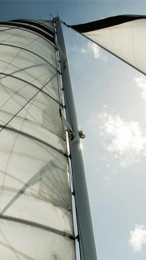 带你吃瓜呀!截图1