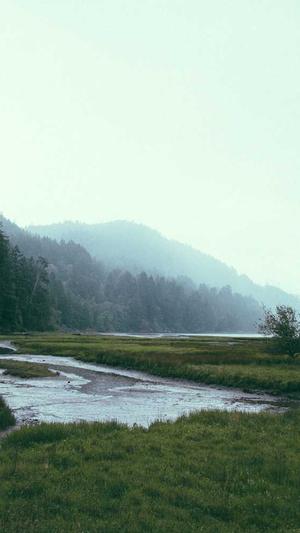 51cg吃瓜汇总截图2