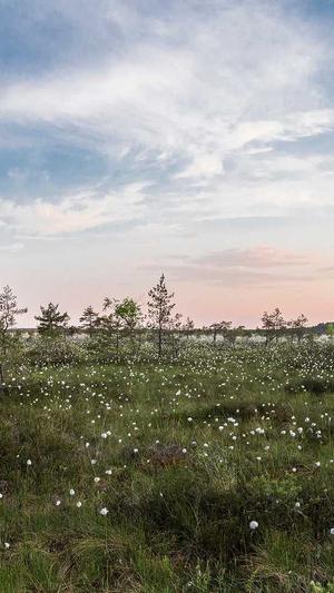 91吃瓜网站截图4