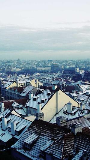 fuli.su黑料正能量地址截图2