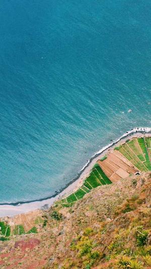 被读心后全员吃瓜吃疯了截图2