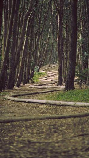 砍瓜怎么吃截图1