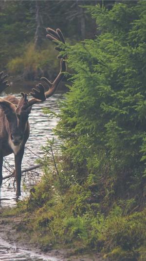 51吃瓜网朝阳截图4