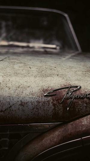 吃瓜是什么性暗示截图1