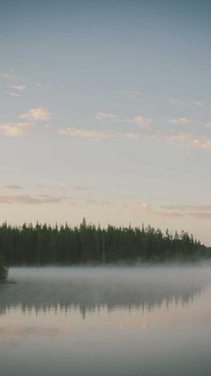 黑料不打烊app下载截图1