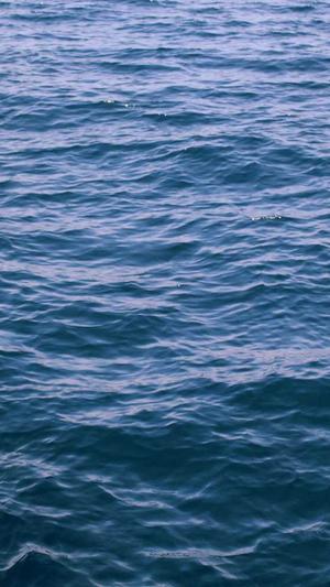 吊瓜怎么吃减肥截图1