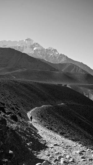 吃瓜福利社截图3