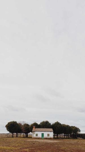 和田玉黑青籽料截图1