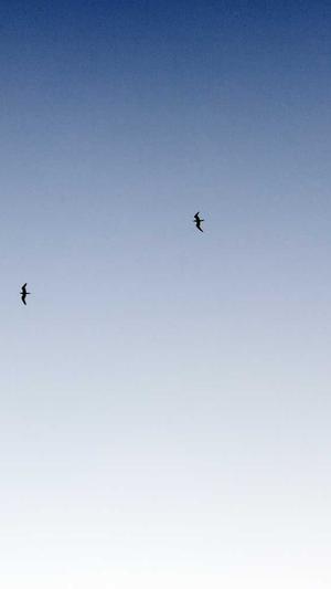 tttzzz黑料不打烊网站截图2