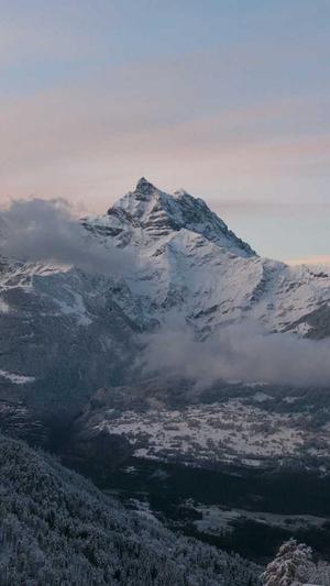 白料和黑料什么意思截图1