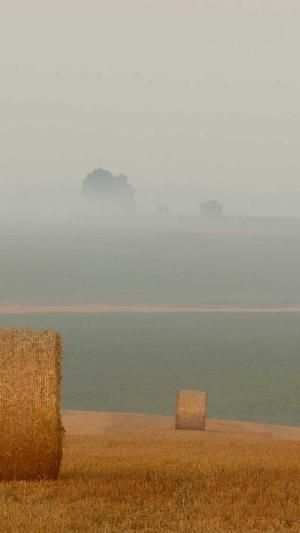 黑料网入口截图3