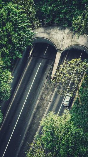 孕期吃哈密瓜截图2