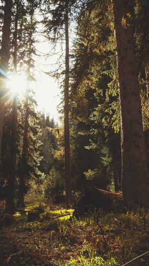 哈密瓜产妇可以吃吗截图4