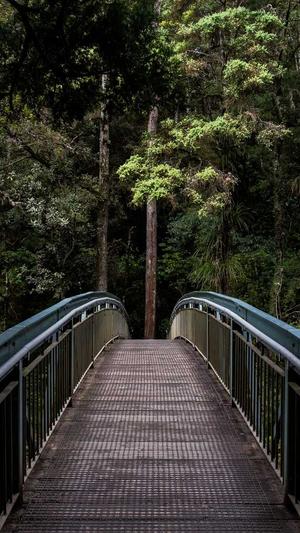 51吃瓜网今日吃瓜入口截图2