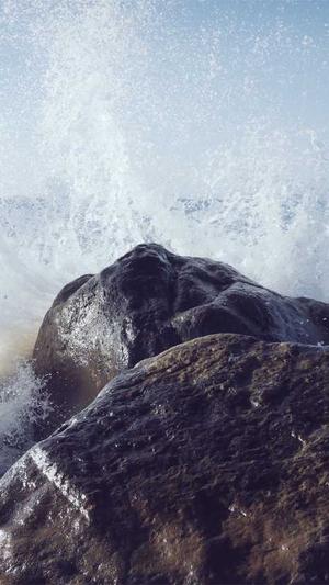 黑料不打烊zzzttt截图3