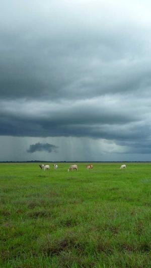 经常吃哈密瓜好不好截图4