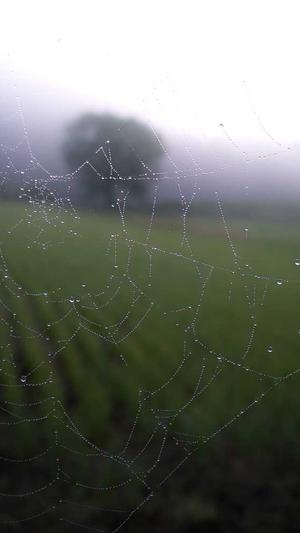 黑料在线视频截图3