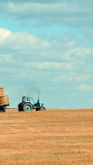 林心如黑料截图3