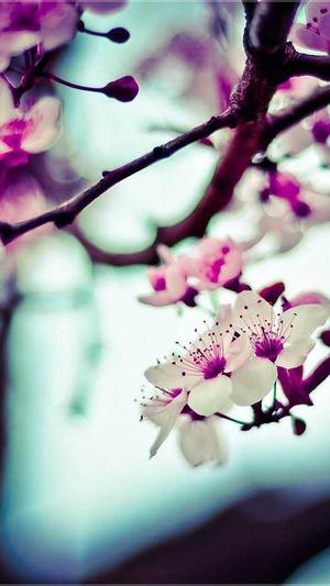 五一吃瓜今日吃瓜入口截图1