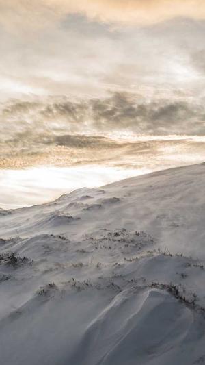 黑料社导航截图2