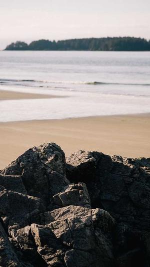 怀孕三个月可以吃哈密瓜吗截图4