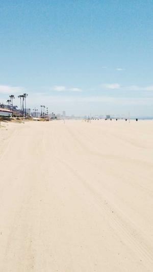 怀孕三个月可以吃哈密瓜吗截图5