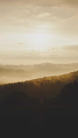 蒲熠星黑料截图2