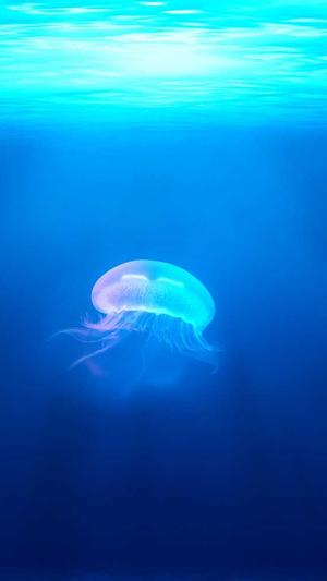 国产吃瓜黑料截图1