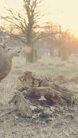 黑料正能量2022年截图1