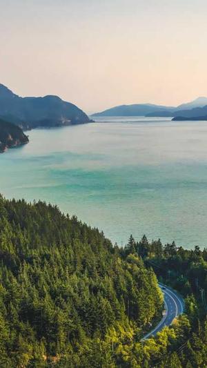 就是阿朱黑料截图1