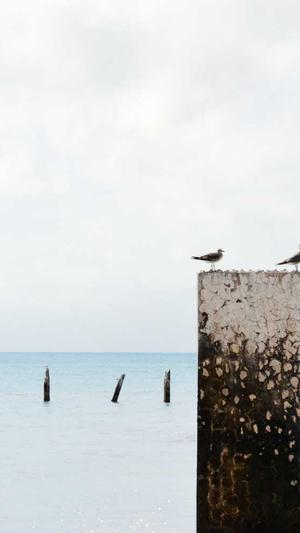 黑料吃瓜入口截图2