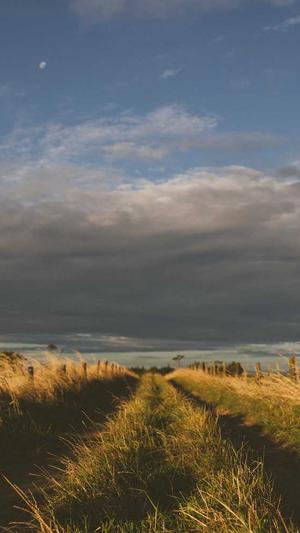 万里长征篇黑料不打烊打不开了截图2