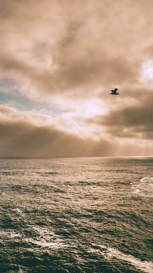 黑料网-今日黑料截图2