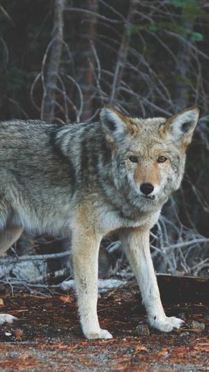 今日吃瓜51吃瓜截图5