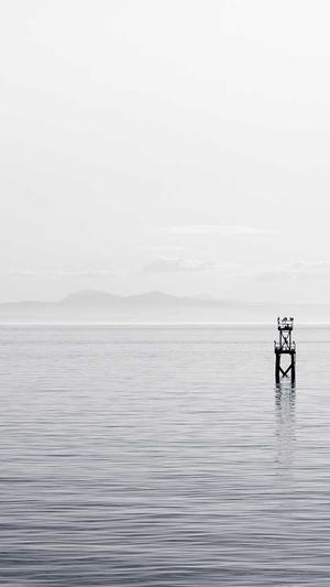 瓜哥带你吃瓜视频全部截图2