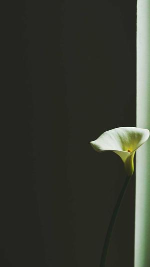 黄子韬黑料截图1