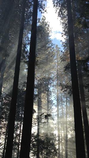 黑社料下载截图5