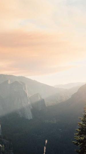 哈密瓜可以和芒果一起吃吗截图2