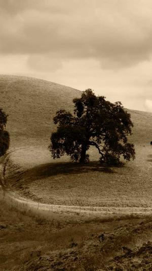 黑料不打烊往期回顾截图3